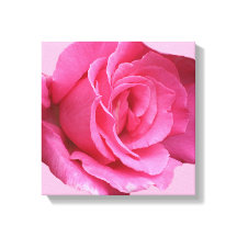  roze roos moderne minimalistische bloemenkunst