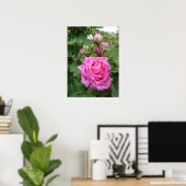 Roze Roos Natuur Tuin Poster (Thuiskantoor)