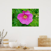 Roze Roos Poster (Keuken)