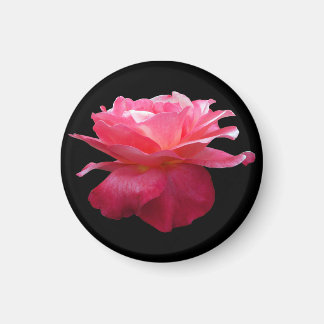Roze Roos Ronde Koelkastmagneet Tuinier Cadeau Magneet