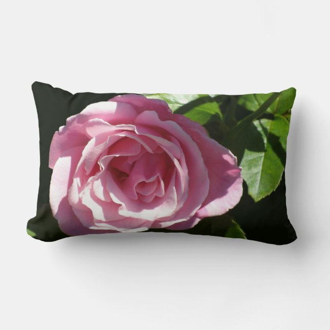 Roze Roos Splendor Kussen (Voorkant)