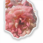 Roze Roos Sticker (Voorkant)