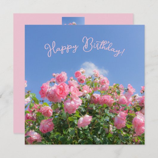 Roze roos struik onder blauwe lucht, op maat (Voorkant / Achterkant)