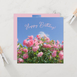 Roze roos struik onder blauwe lucht, op maat