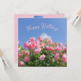 Roze roos struik onder blauwe lucht, op maat