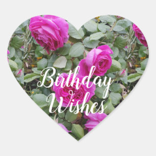  roze  Roos ventilatorkaart Magn Hart Sticker