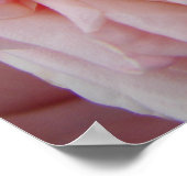 Roze Roos Vintage bloemen Poster (Hoek)