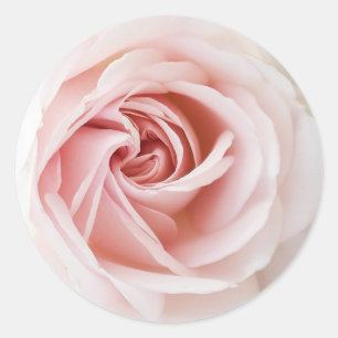 Roze Roos & Wit Hout Shabby Chic Bruidsmeisje Fees Ronde Sticker