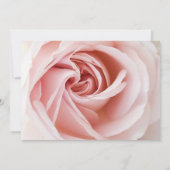 Roze Roos & Witte Hout Shabby Chic Bruiloft Feest Kaart (Achterkant)