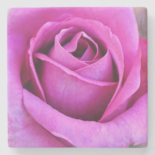 Roze Roosbloemblad Bloem Kunst Coaster Stenen Onderzetter