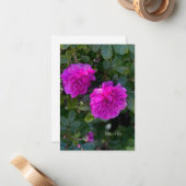 Roze Rosa Rugosa Notitiekaartje (Voorkant / Achterkant in situ)