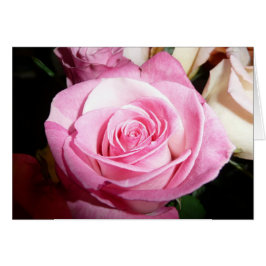 Roze Rose
