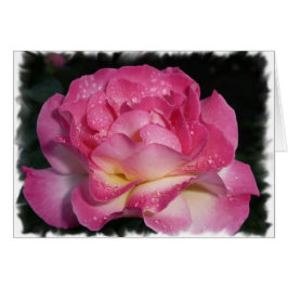 Roze Rose