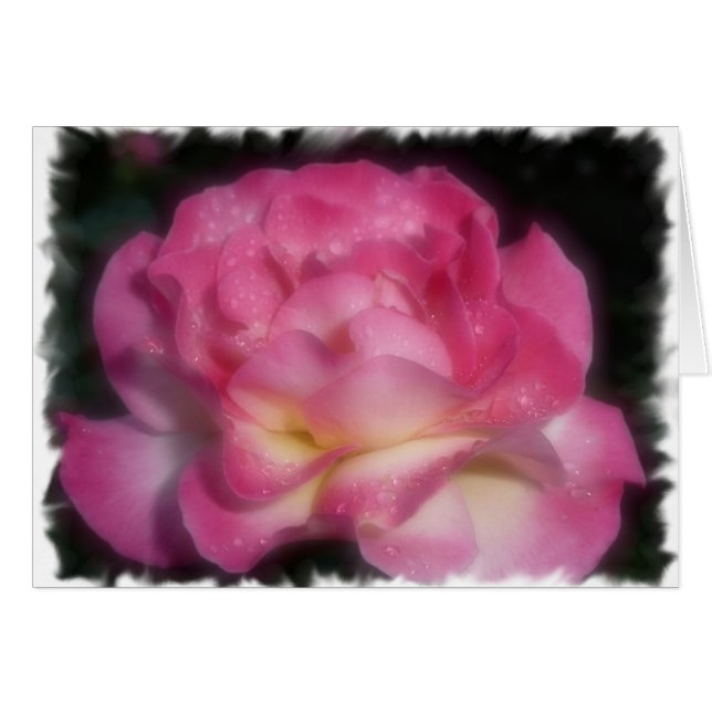 Roze Rose (Voorkant Horizontaal)