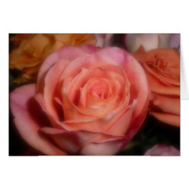 Roze Rose