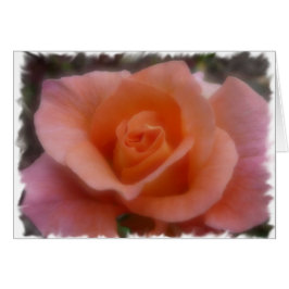 Roze Rose