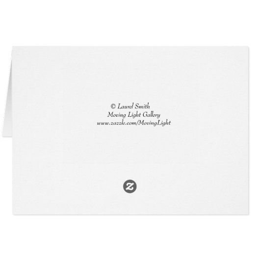 Roze Rose (Achterkant Horizontaal)