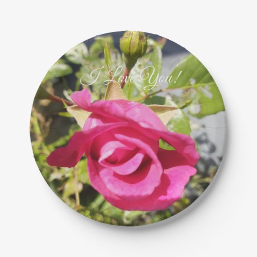 Roze Rose #2 Papieren Bordje (Voorkant)