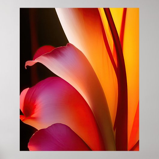 Roze Rose Abstract Bloemen Poster (Voorkant)