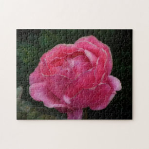 Roze Rose Bloem Art Puzzel