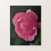 Roze Rose Bloem Art Puzzel Legpuzzel (Verticaal)