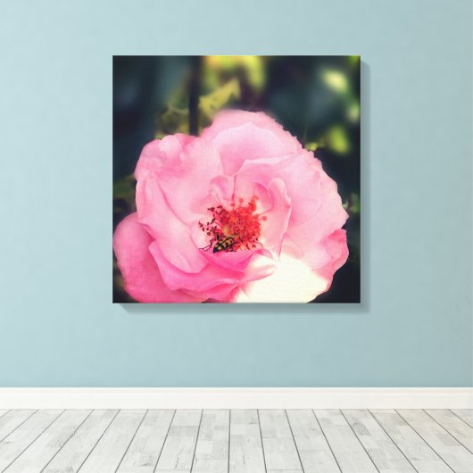 Roze Rose Bloem Foto Verpakt Canvas (Insitu (Houten vloer))