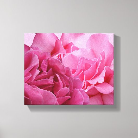 roze rose bloem modern mooi stijlvol canvas afdruk (Voorkant)
