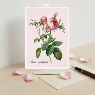 Roze Rose Botanical Art Note Kaart