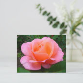 Roze Rose Briefkaart (Staand voorkant)