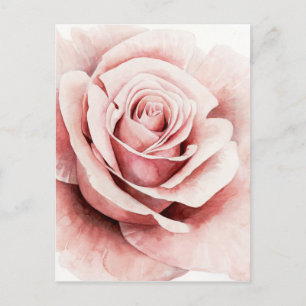 Roze Rose Briefkaart