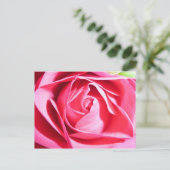 Roze Rose Briefkaart (Staand voorkant)