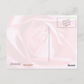Roze Rose Briefkaart (Achterkant)