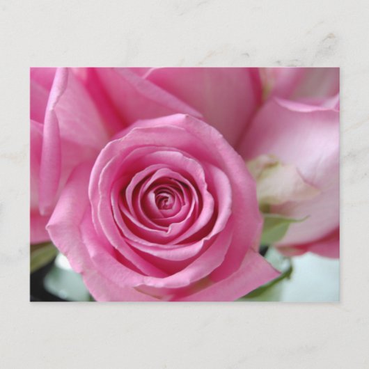Roze Rose Briefkaart (Voorkant)