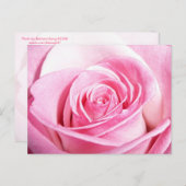 Roze Rose Briefkaart (Voorkant / Achterkant)