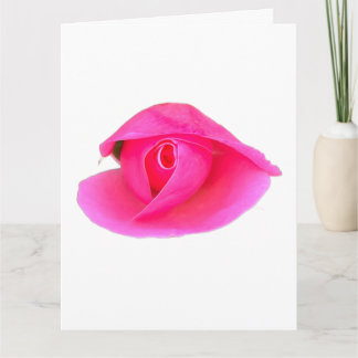 Roze Rose Bud Kaart