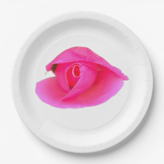 Roze Rose Bud Papieren Bordje