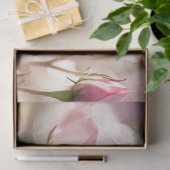 Roze Rose Bud Tissue Papier (Geschenk)