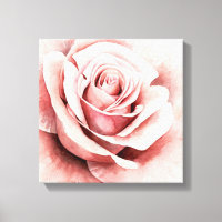 Roze Rose