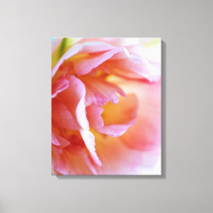 Roze Rose Canvas Afdruk