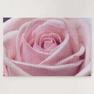 Roze Rose Close-up foto Legpuzzel