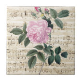 Roze Rose Dreamweaver Tegeltje (Voorkant)