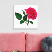 Roze Rose en Bud Canvas Afdruk (Insitu (Woonkamer))