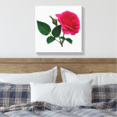 Roze Rose en Bud Canvas Afdruk (Insitu (Slaapkamer))