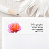 Roze Rose Etiket (Insitu)