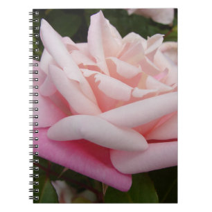 Roze Rose Flower Beautful Garden Floral Notitieboek