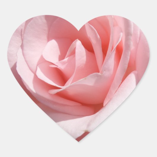 Roze Rose Flower Heart Sticker (Voorkant)