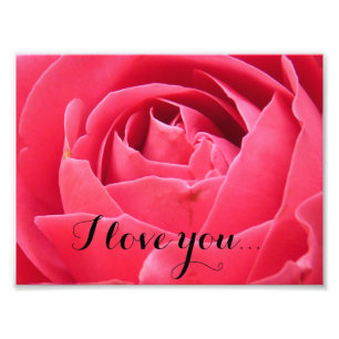 Roze Rose Foto Afdruk