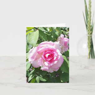 Roze Rose Foto gevouwen Note Kaart
