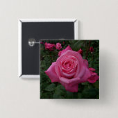 Roze Rose Foto Vierkante Button 5,1 Cm (Voorkant /achterkant)