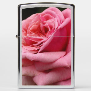 Roze Rose I Floral fotografie